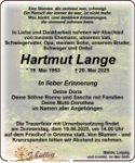 eine Anzeige